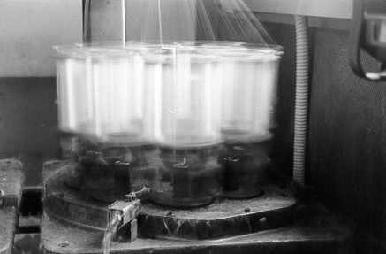 tex.jpg (10248 bytes)