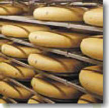 wpe4.jpg (8594 bytes)