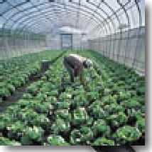 wpe5.jpg (8965 bytes)